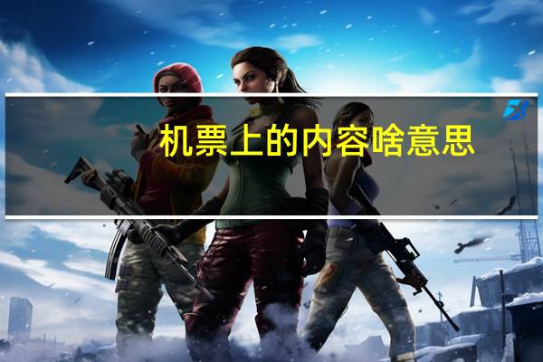 机票上的内容啥意思