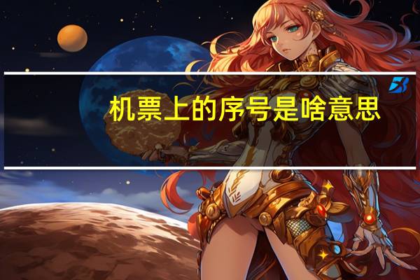 机票上的序号是啥意思