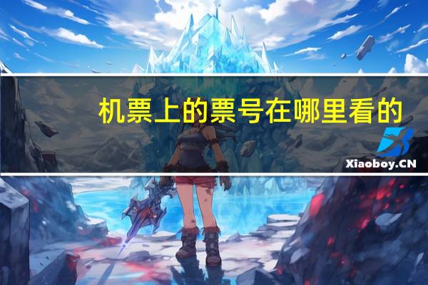 机票上的票号在哪里看的
