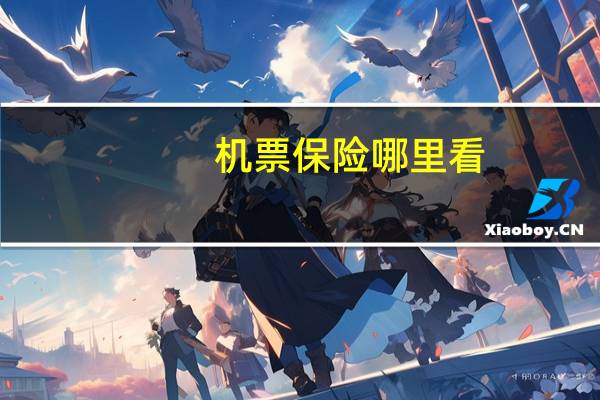 机票保险哪里看