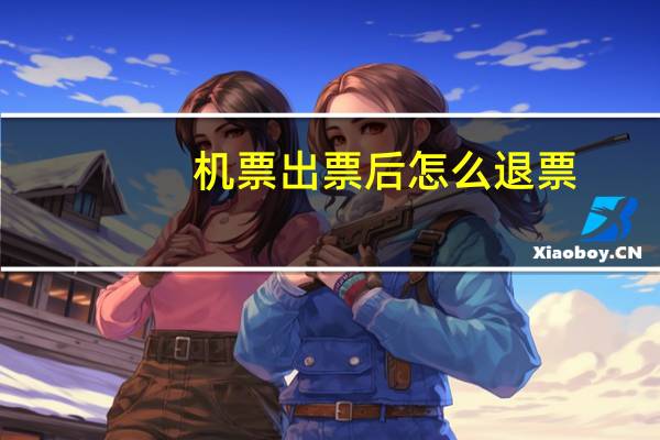 机票出票后怎么退票
