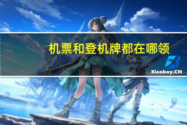 机票和登机牌都在哪领