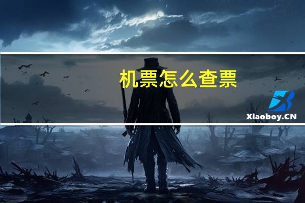 机票怎么查票