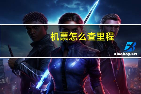 机票怎么查里程