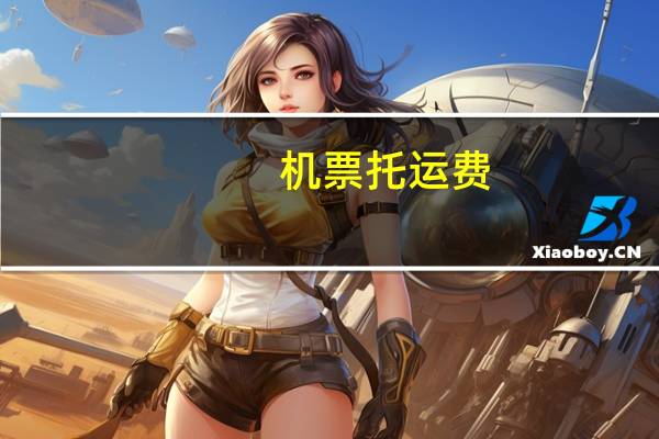 机票托运费