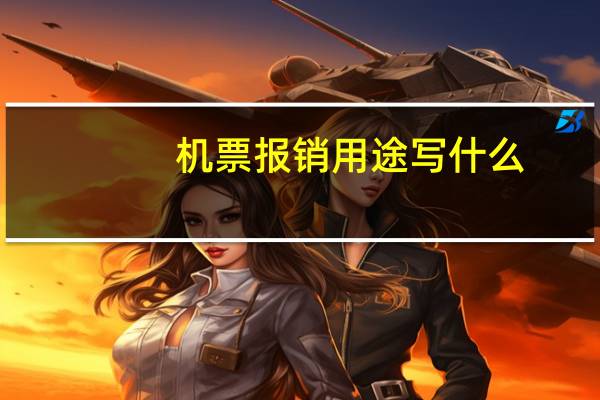 机票报销用途写什么