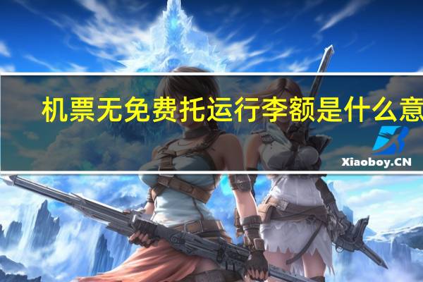 机票无免费托运行李额是什么意思