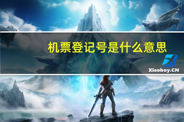 机票登记号是什么意思