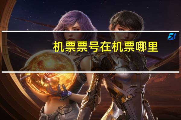 机票票号在机票哪里