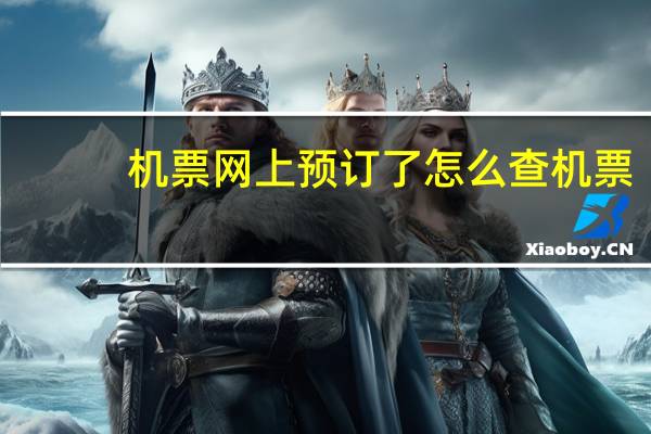 机票网上预订了怎么查机票