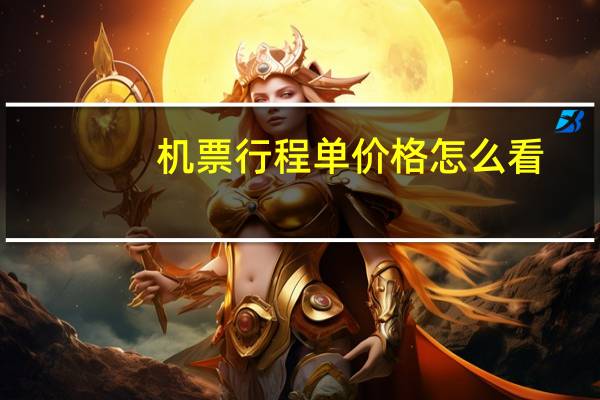 机票行程单价格怎么看