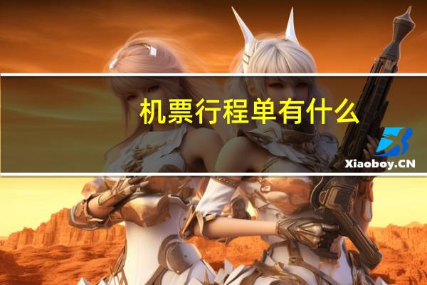 机票行程单有什么