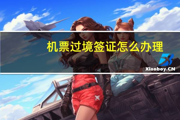 机票过境签证怎么办理