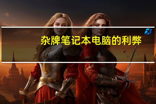 杂牌笔记本电脑的利弊