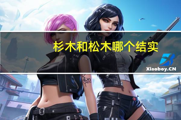 杉木和松木哪个结实