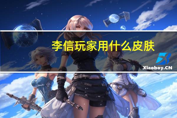 李信玩家用什么皮肤