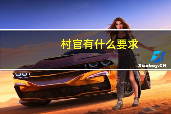 村官有什么要求