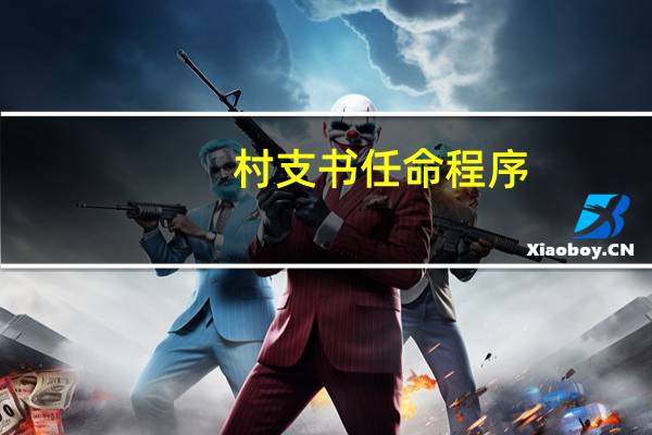 村支书任命程序