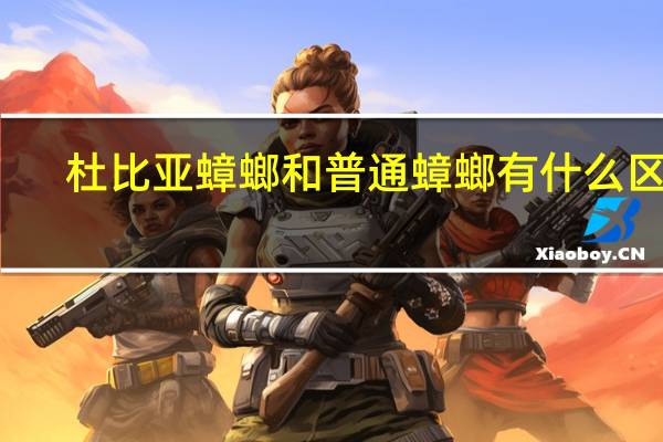 杜比亚蟑螂和普通蟑螂有什么区别
