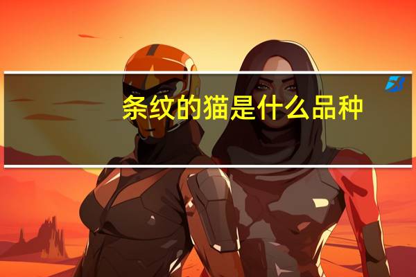 条纹的猫是什么品种