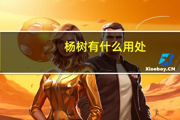 杨树有什么用处