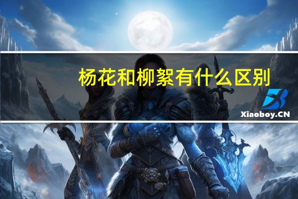 杨花和柳絮有什么区别