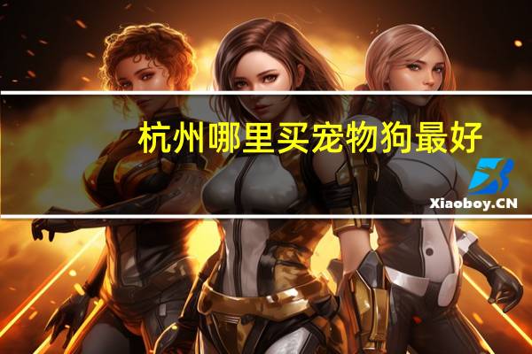 杭州哪里买宠物狗最好