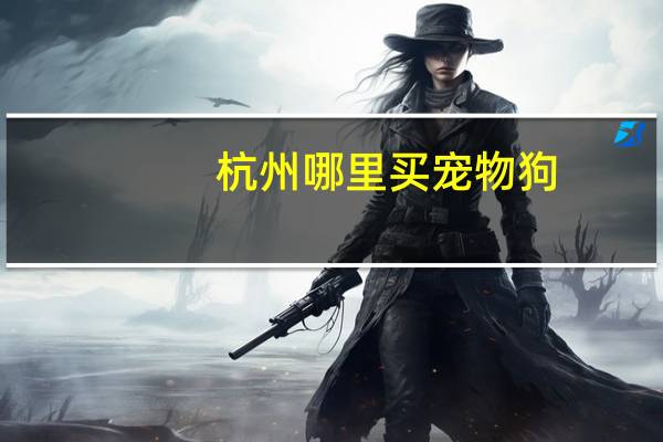 杭州哪里买宠物狗