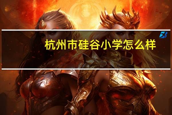 杭州市硅谷小学怎么样