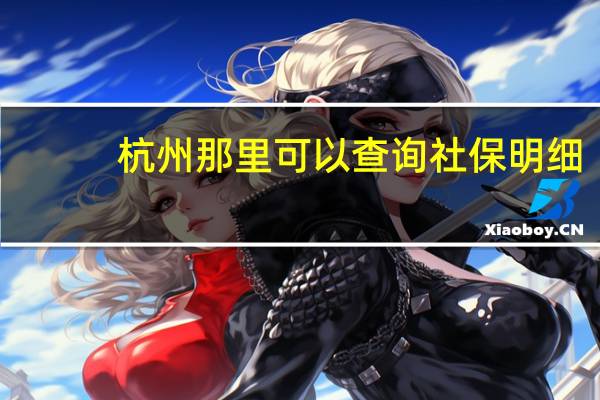 杭州那里可以查询社保明细