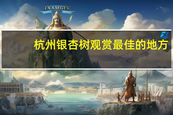 杭州银杏树观赏最佳的地方
