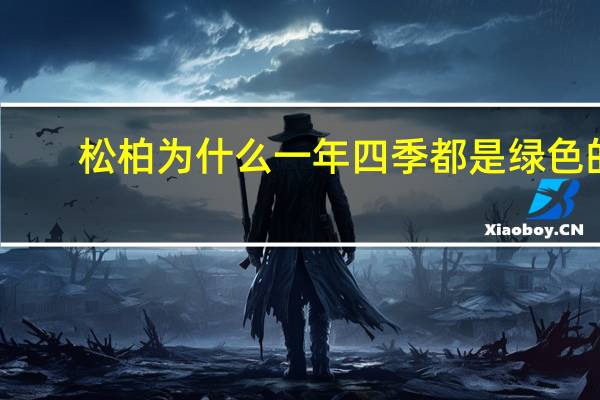 松柏为什么一年四季都是绿色的