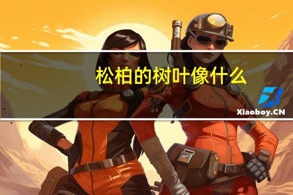 松柏的树叶像什么