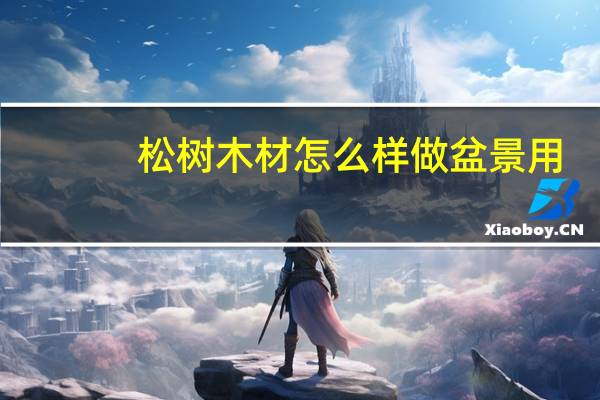 松树木材怎么样做盆景用