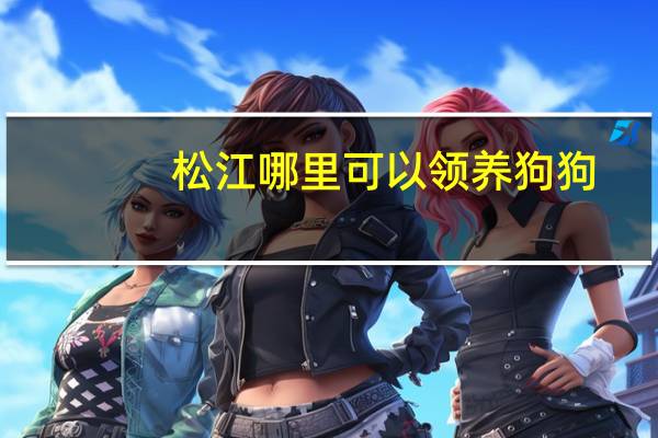 松江哪里可以领养狗狗