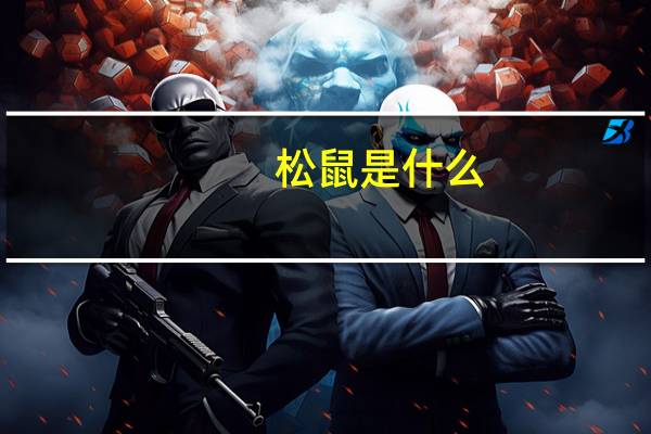松鼠是什么