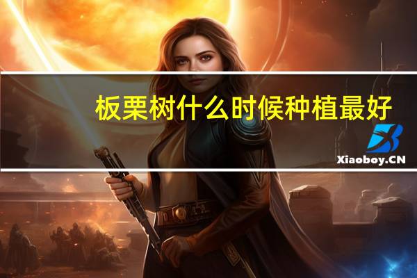板栗树什么时候种植最好