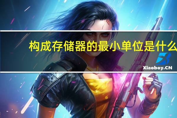 构成存储器的最小单位是什么