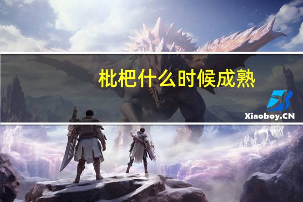 枇杷什么时候成熟 枇杷几月成熟