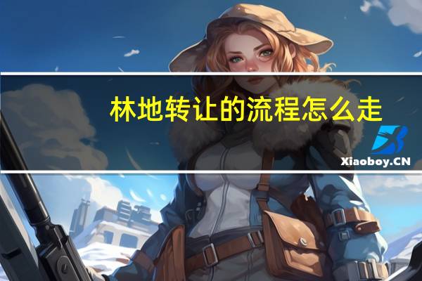 林地转让的流程怎么走