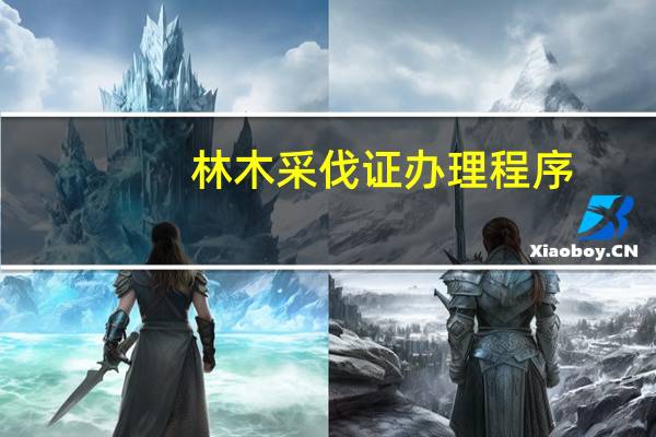 林木采伐证办理程序