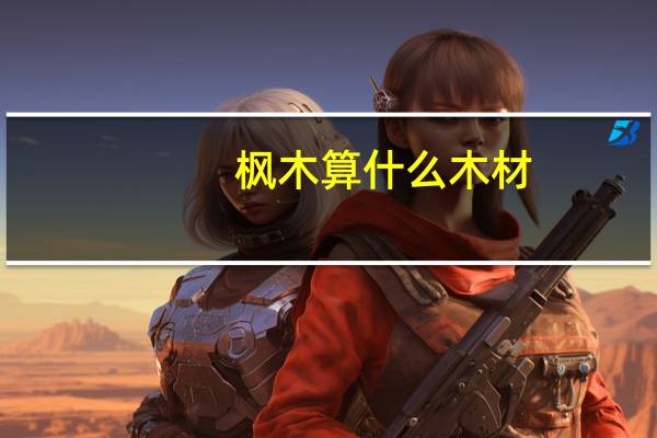枫木算什么木材