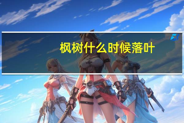 枫树什么时候落叶