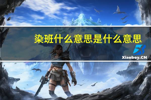 染班什么意思是什么意思