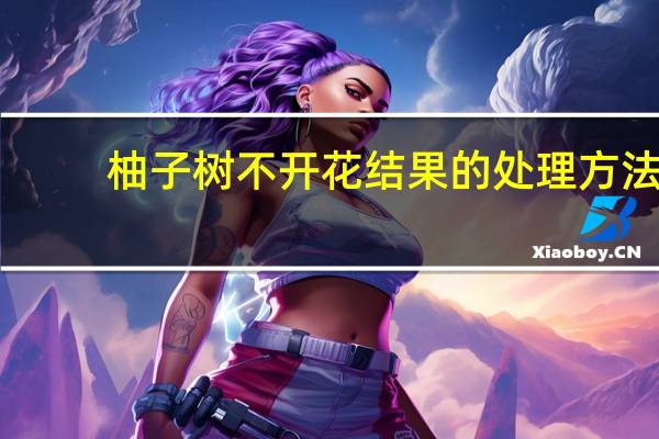 柚子树不开花结果的处理方法