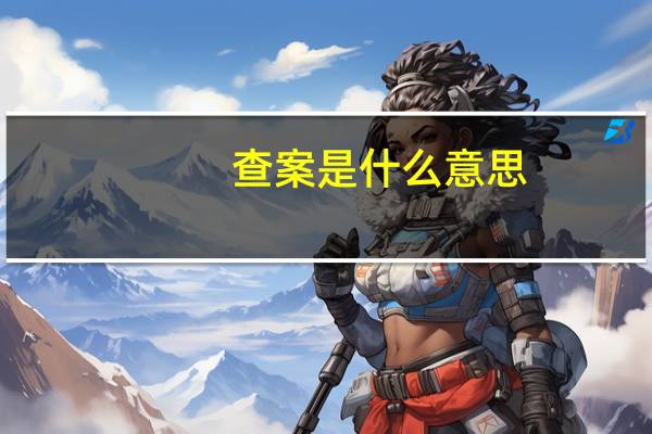 查案是什么意思
