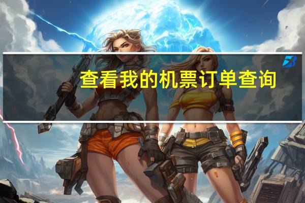 查看我的机票订单查询