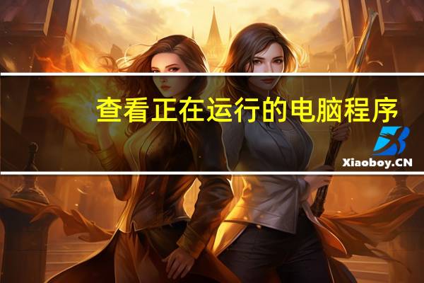 查看正在运行的电脑程序