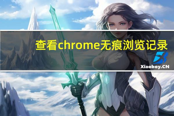 查看chrome无痕浏览记录