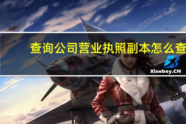 查询公司营业执照副本怎么查